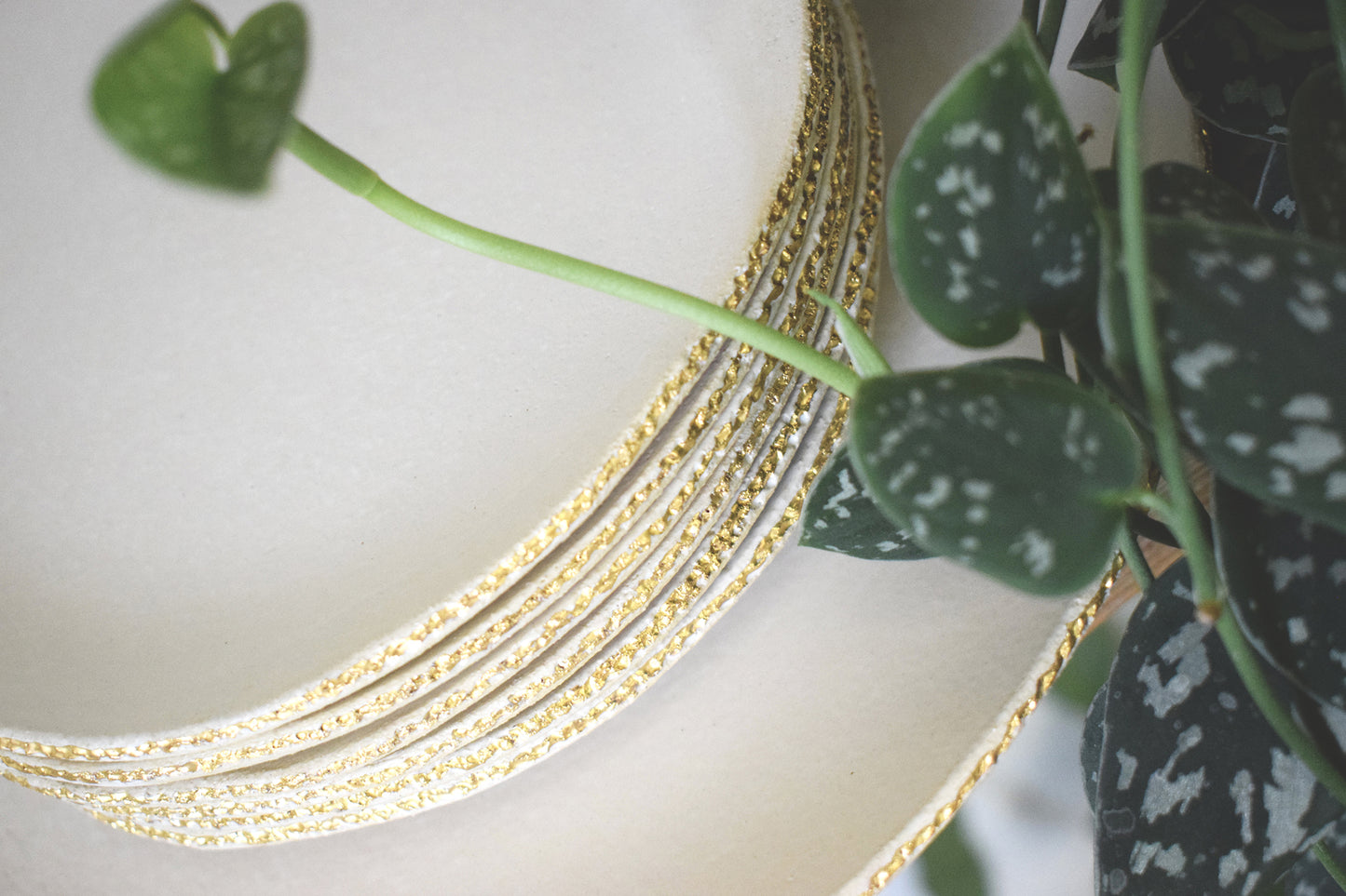 Dessert set /  six small plates, one serving plate